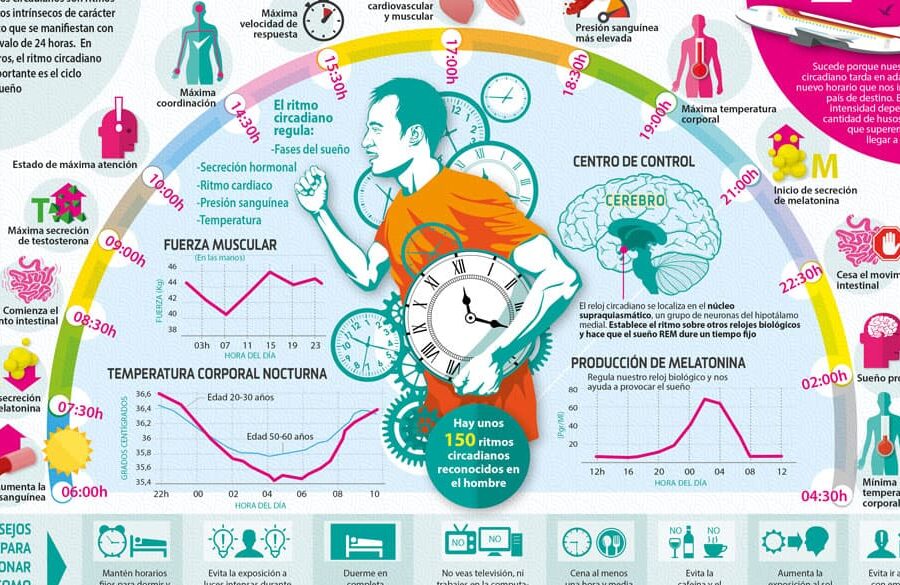 10 recursos imprescindibles para mejorar tu productividad diaria - Mercadillo5