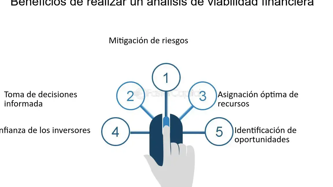 Análisis de viabilidad financiera: clave para la toma de decisiones empresariales - Mercadillo5