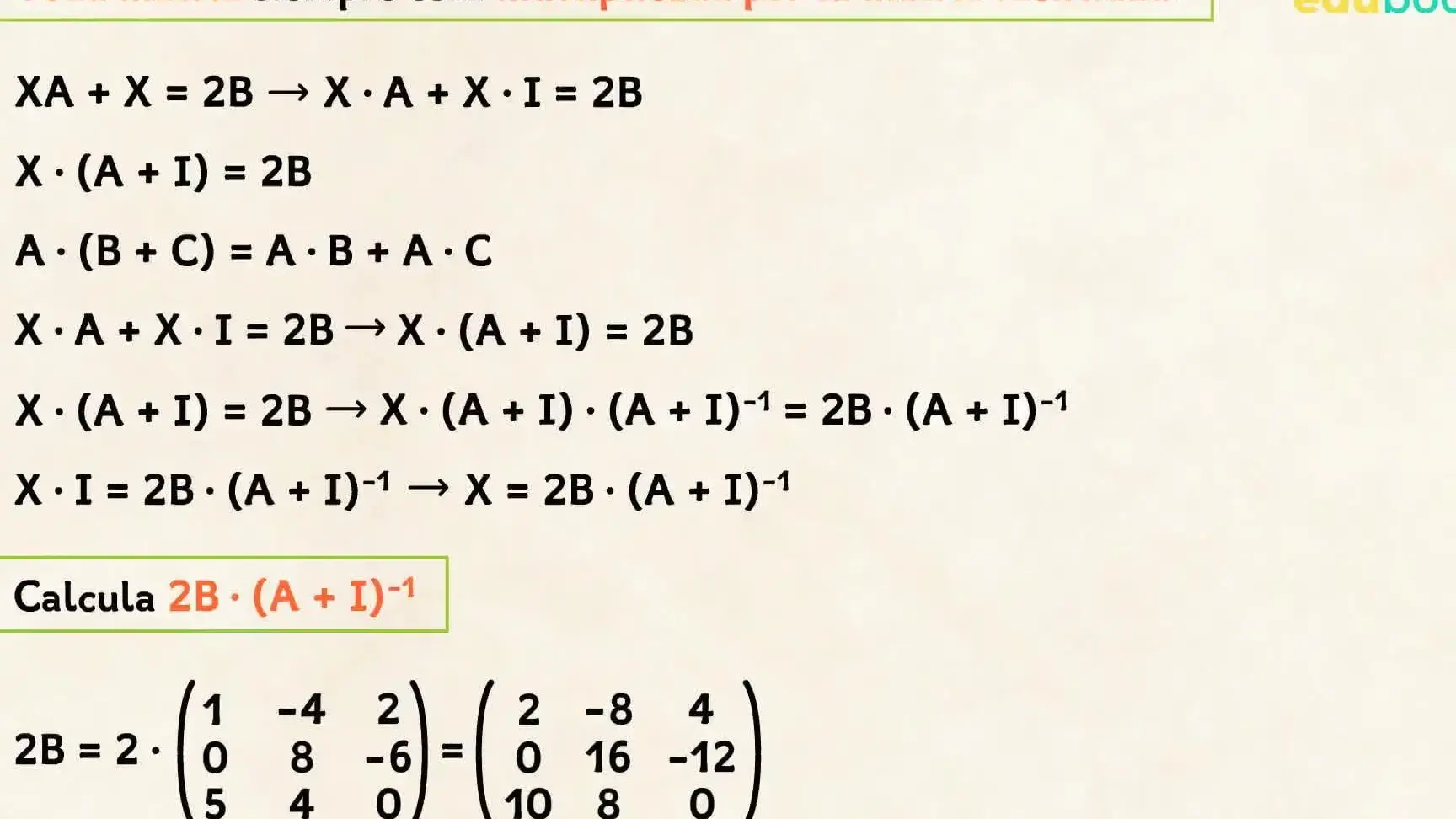 ¡Aprende a resolver ecuaciones en C de manera sencilla y efectiva! - Mercadillo5