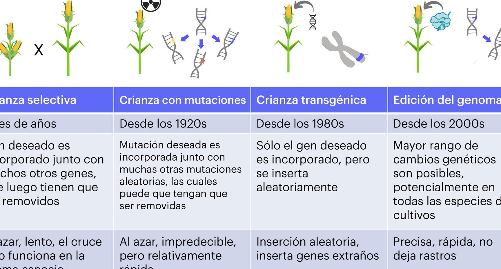 Avances recientes en la climatología: descubrimientos clave para entender el cambio climático - Mercadillo5