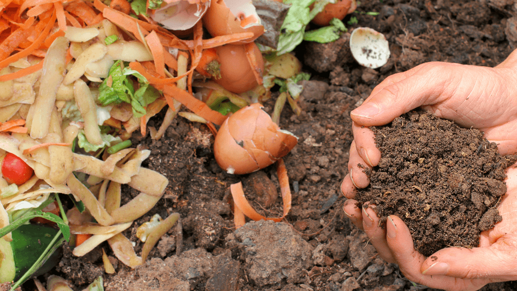 Compostaje vs. Reciclaje: ¿Cuál es la diferencia? - Mercadillo5