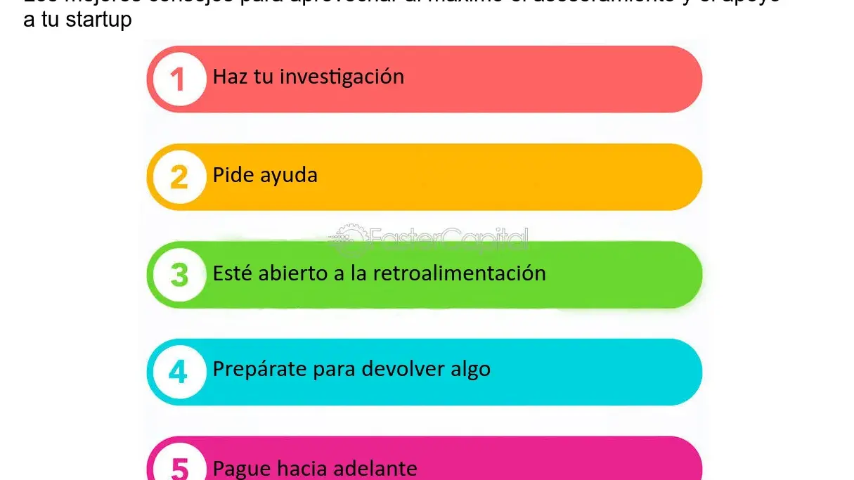 Consejos expertos para el éxito de tu startup: Asesoría especializada - Mercadillo5