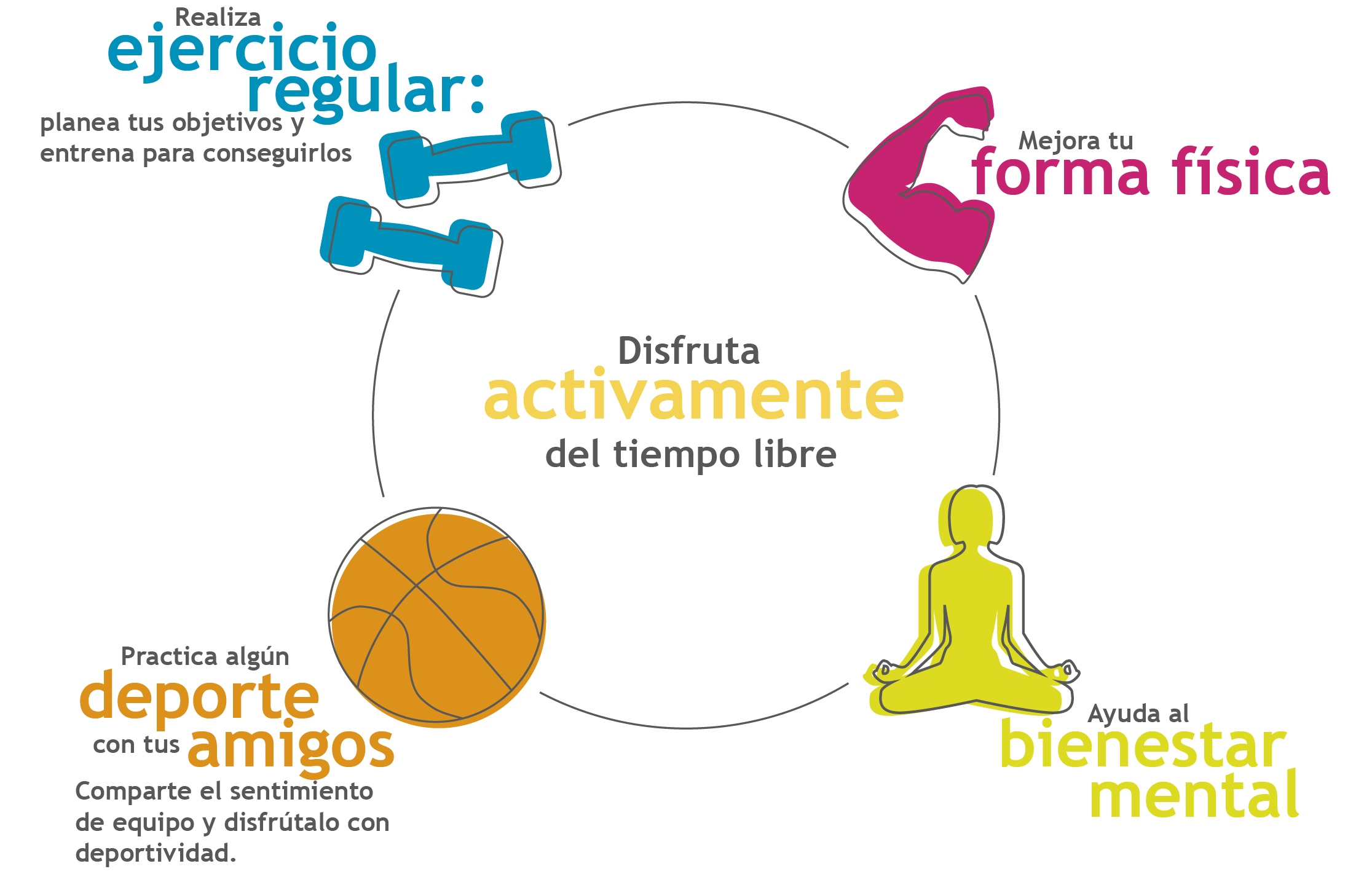Consejos para modificar tu alimentación durante el ejercicio físico - Mercadillo5