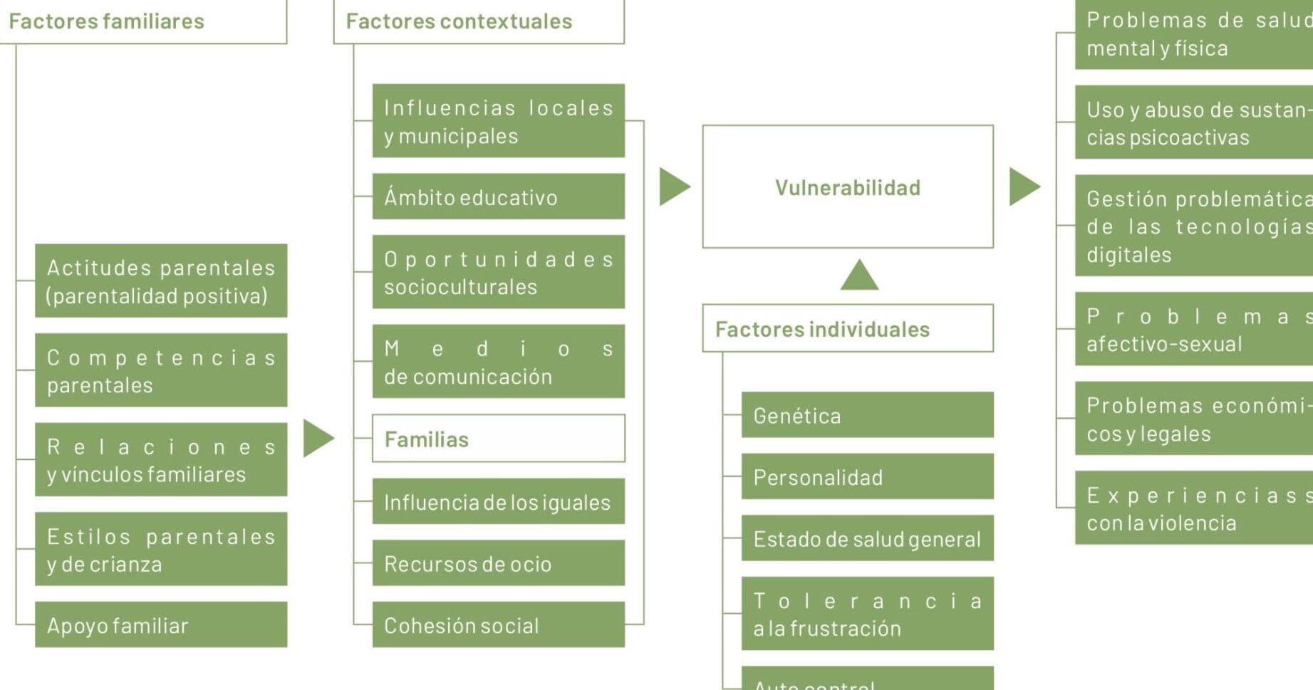 Control de adicciones: desafíos en la implementación de políticas - Mercadillo5