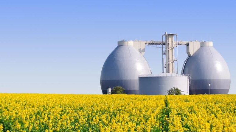 Descubre cómo las energías renovables frenan el cambio climático - Mercadillo5