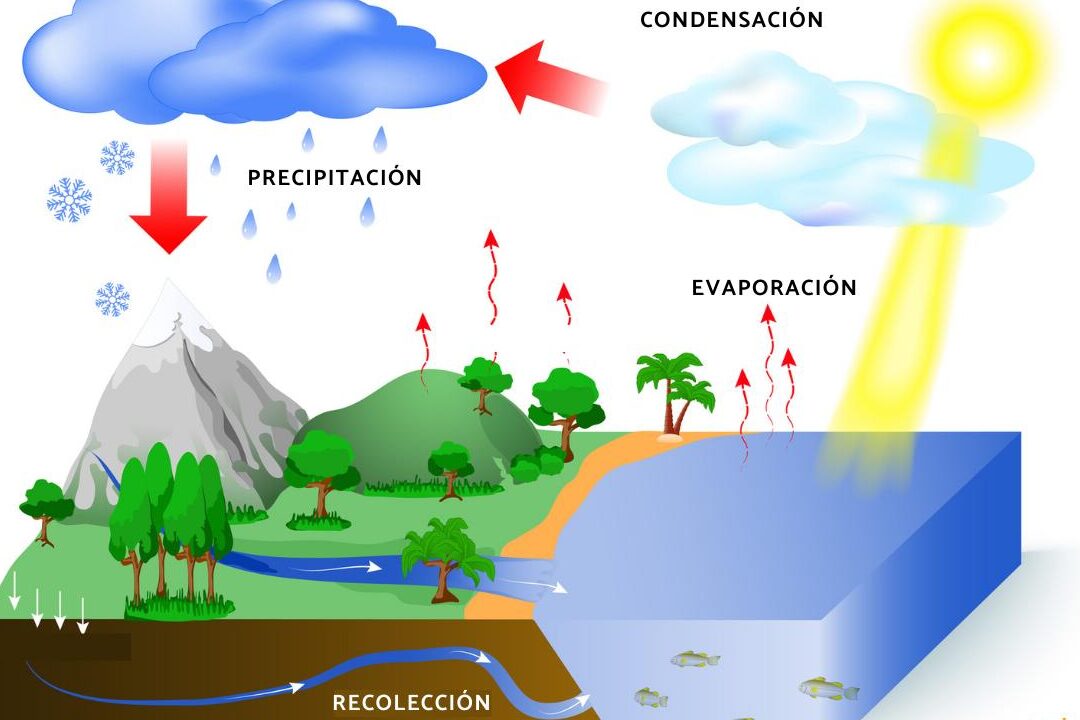 Descubre el ciclo del agua y todo sobre los acuíferos - Mercadillo5