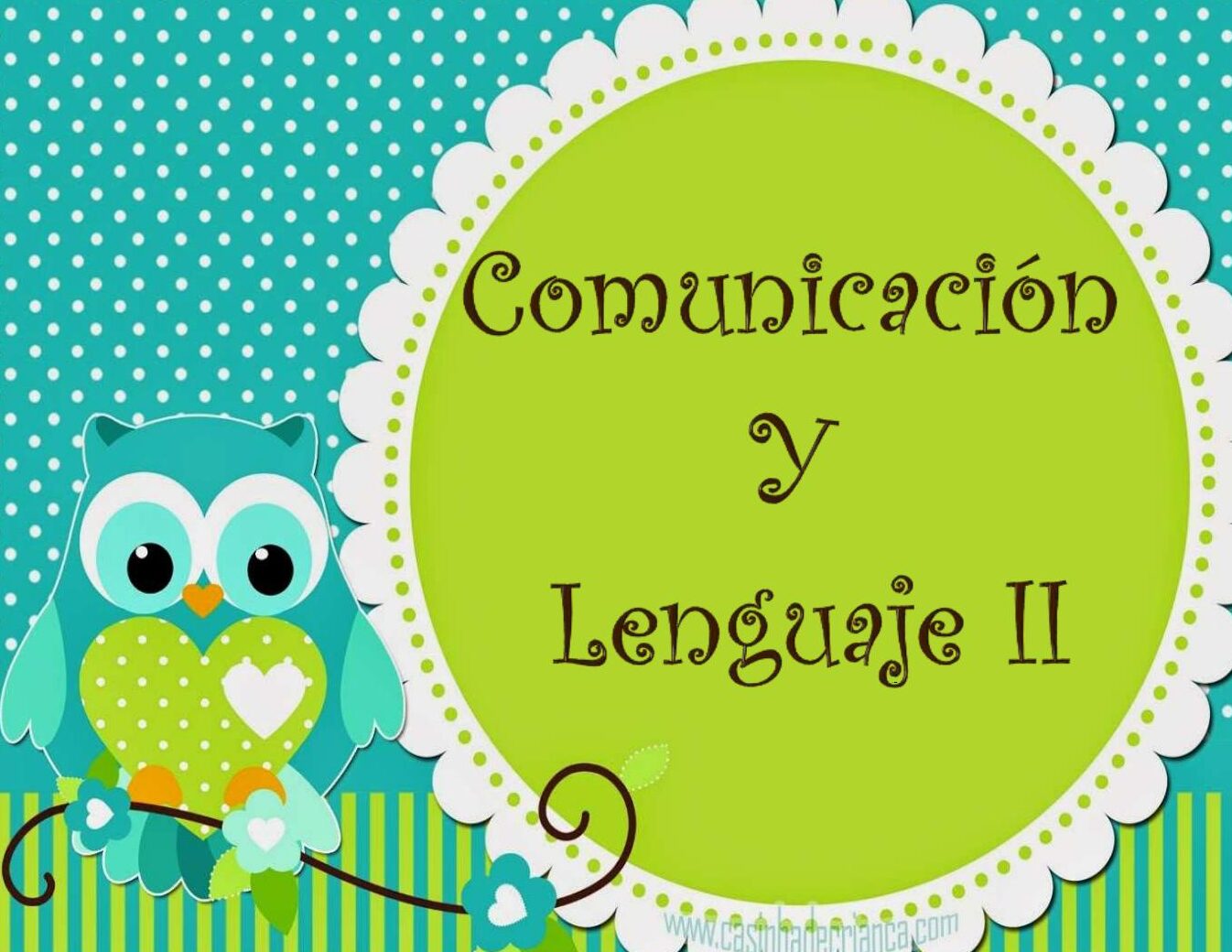 Descubre el lenguaje de los grillos y su increíble comunicación - Mercadillo5