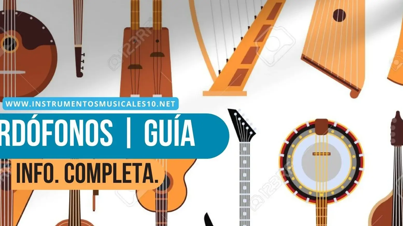Descubre géneros musicales y tamaño común de este instrumento - Mercadillo5