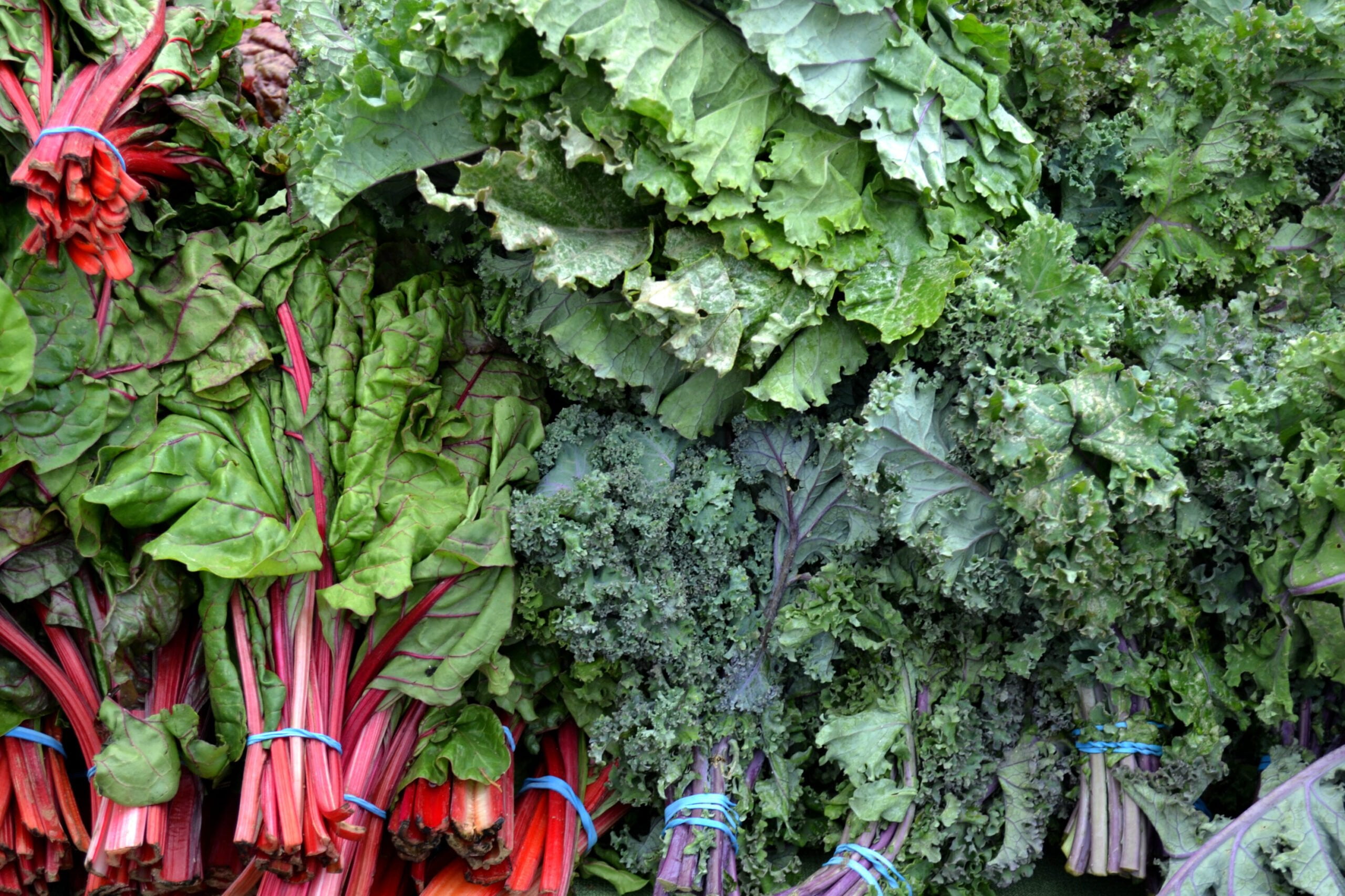 Descubre la variedad de plantas comestibles para incluir en tus cenas - Mercadillo5