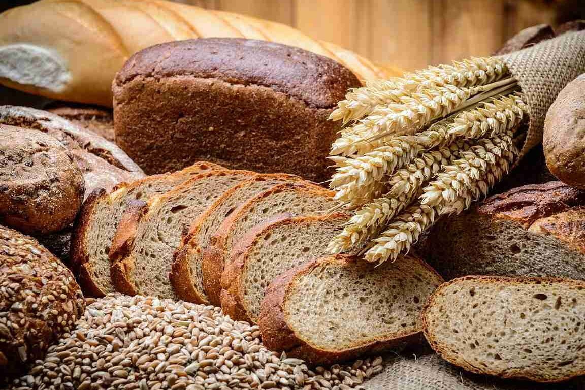 Descubre las plantas de pan más populares en el mercado - Mercadillo5