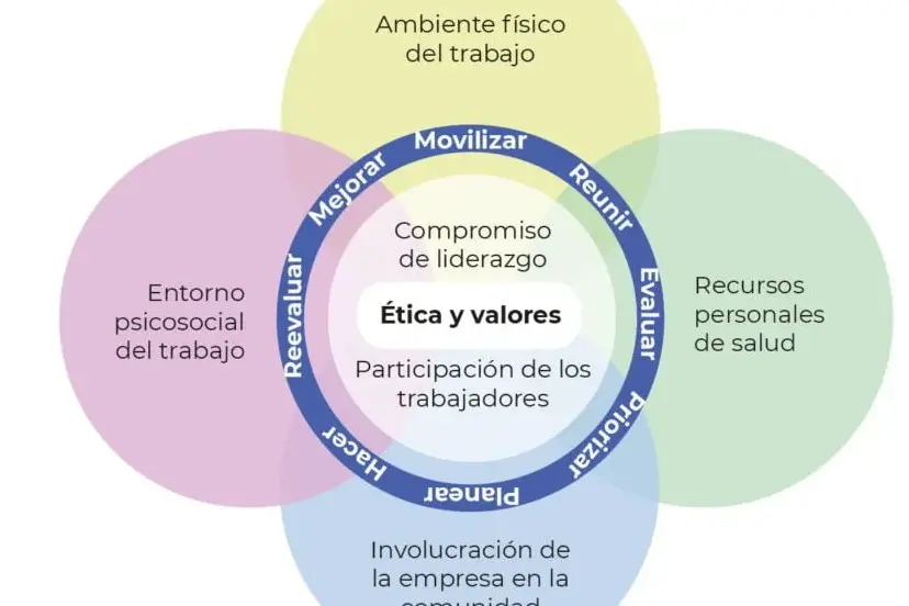 Descubre los beneficios del iso en salud para mejorar tu bienestar - Mercadillo5