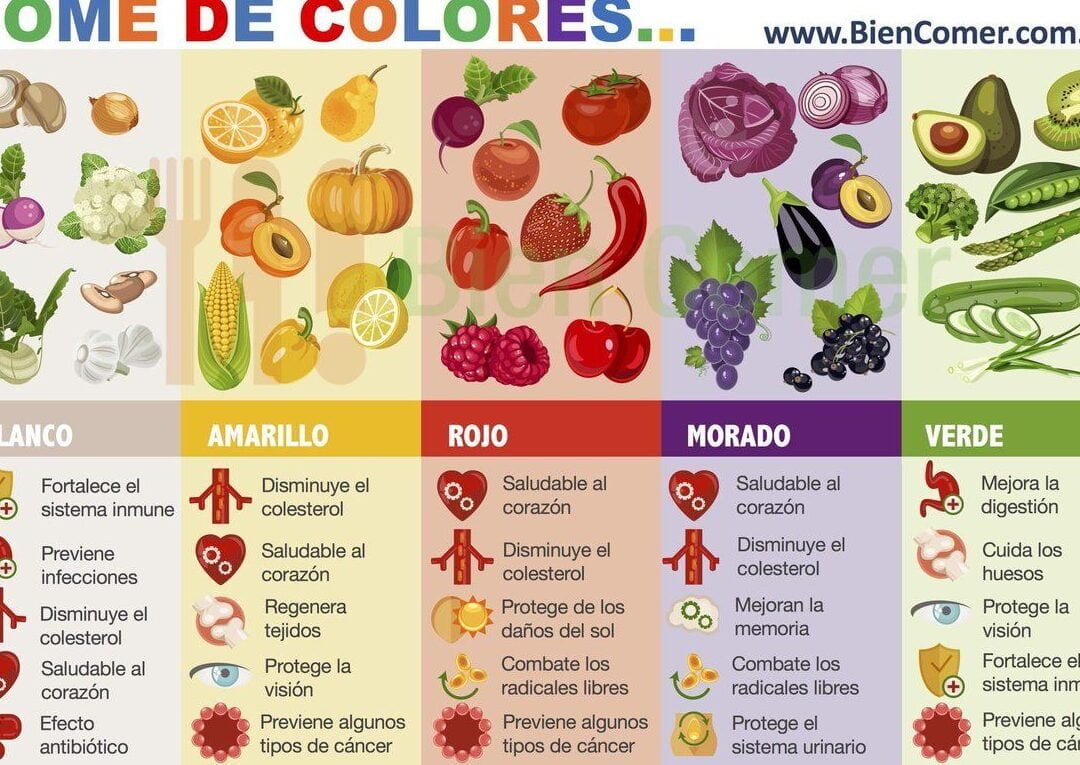 Descubre los diversos estilos de escritura y mejora tu alimentación - Mercadillo5