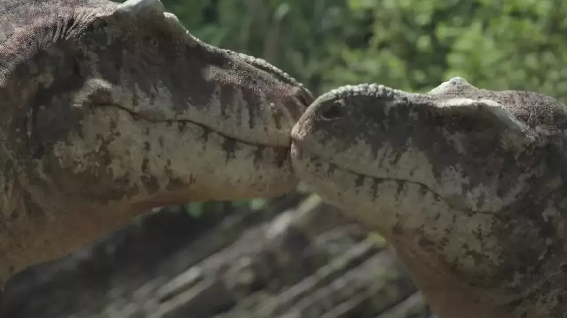 Descubre los fascinantes misterios de la paleontología - Mercadillo5