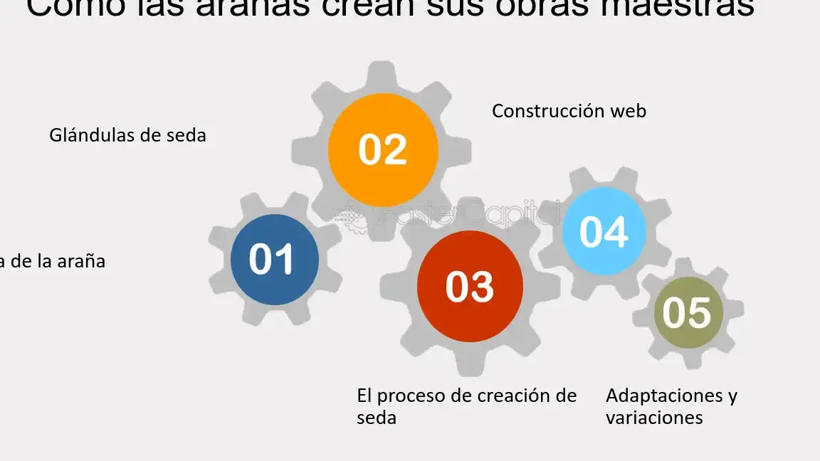 El increíble poder de la seda de araña en construcción y caza - Mercadillo5