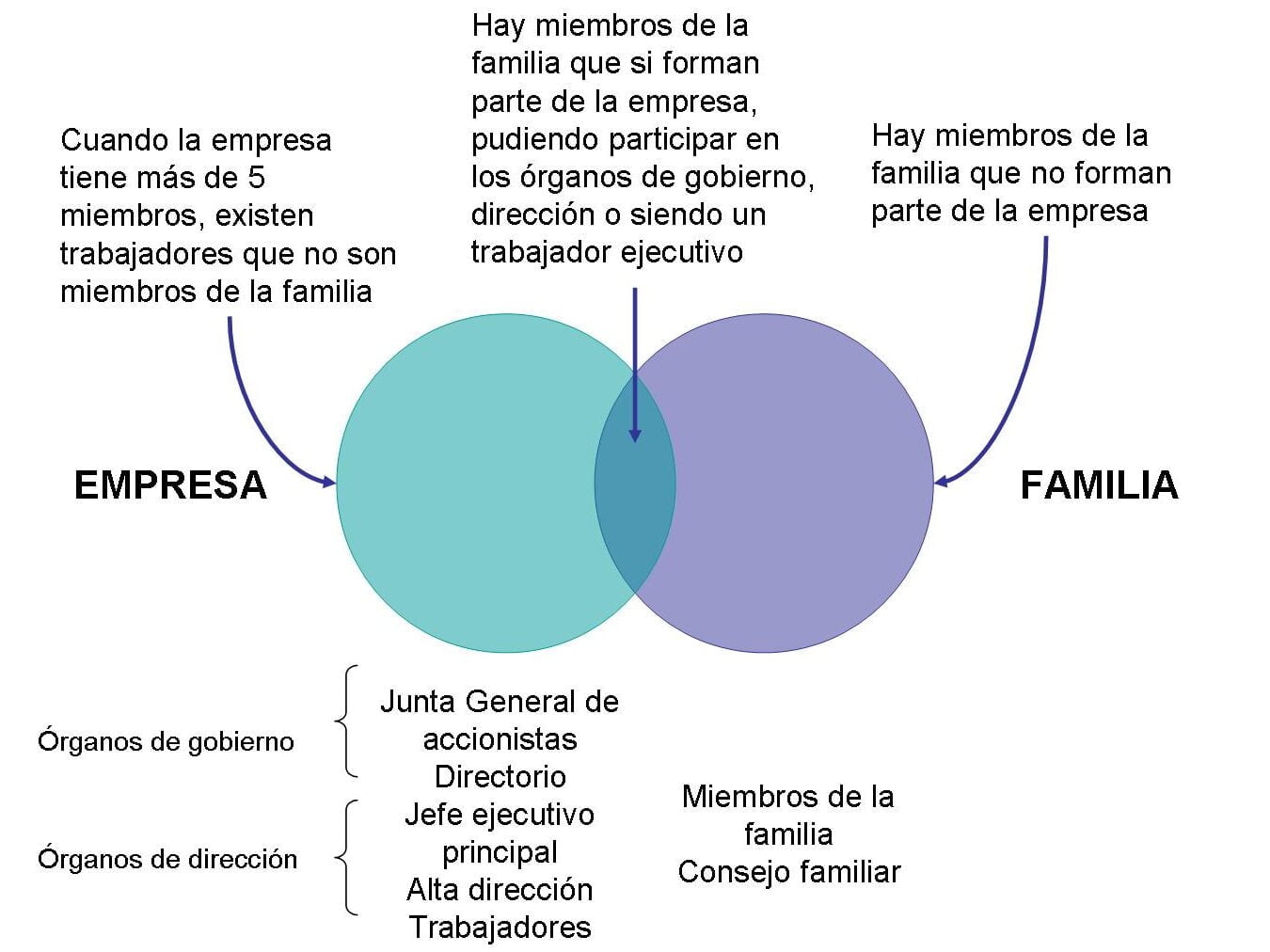 Experiencia y compromiso: Servicios legales de una empresa familiar de confianza - Mercadillo5