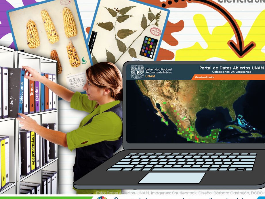 Explora la ciencia con nuestra divulgación accesible - Mercadillo5