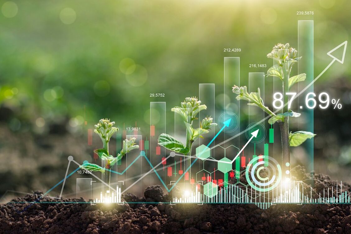 Inversiones digitales en tecnologías limpias para un futuro más sostenible - Mercadillo5