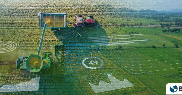 Inversiones digitales para optimizar la producción agrícola con precisión - Mercadillo5