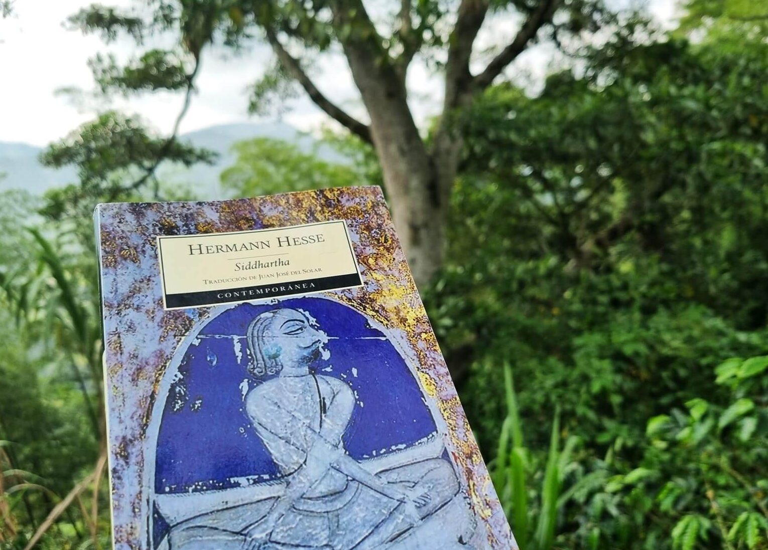 La búsqueda espiritual de Siddhartha: obra maestra de Hesse - Mercadillo5