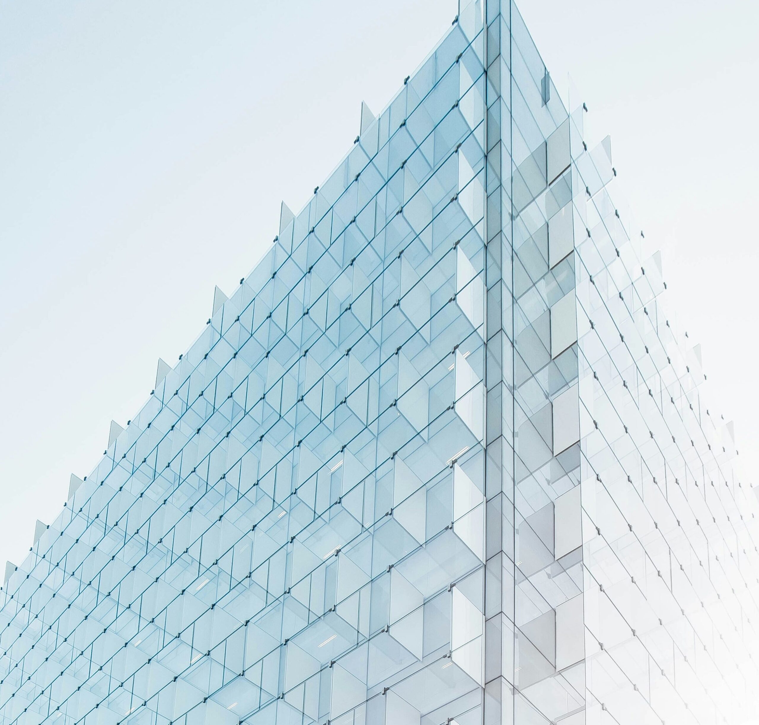 La importancia de construir comunidades en línea con imágenes - Mercadillo5