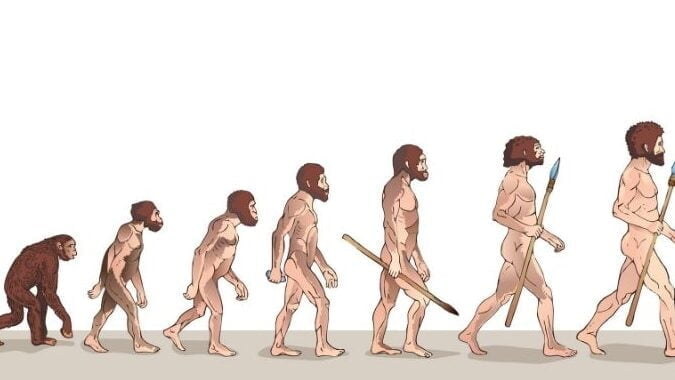 La teoría de la evolución de Charles Darwin - Mercadillo5