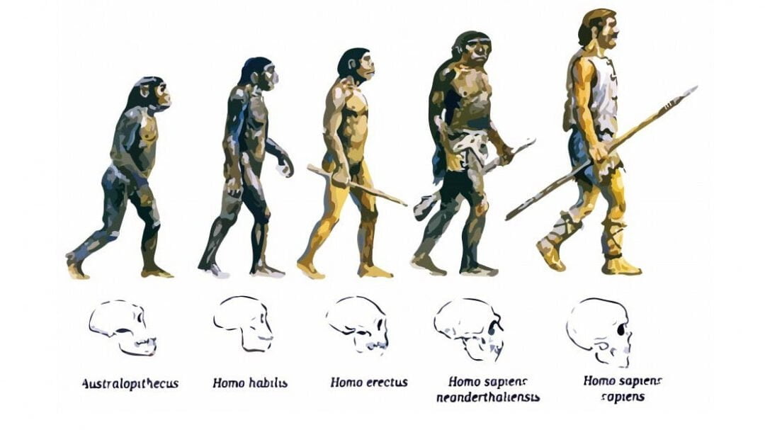 La teoría de la evolución de Darwin: análisis actualizado - Mercadillo5