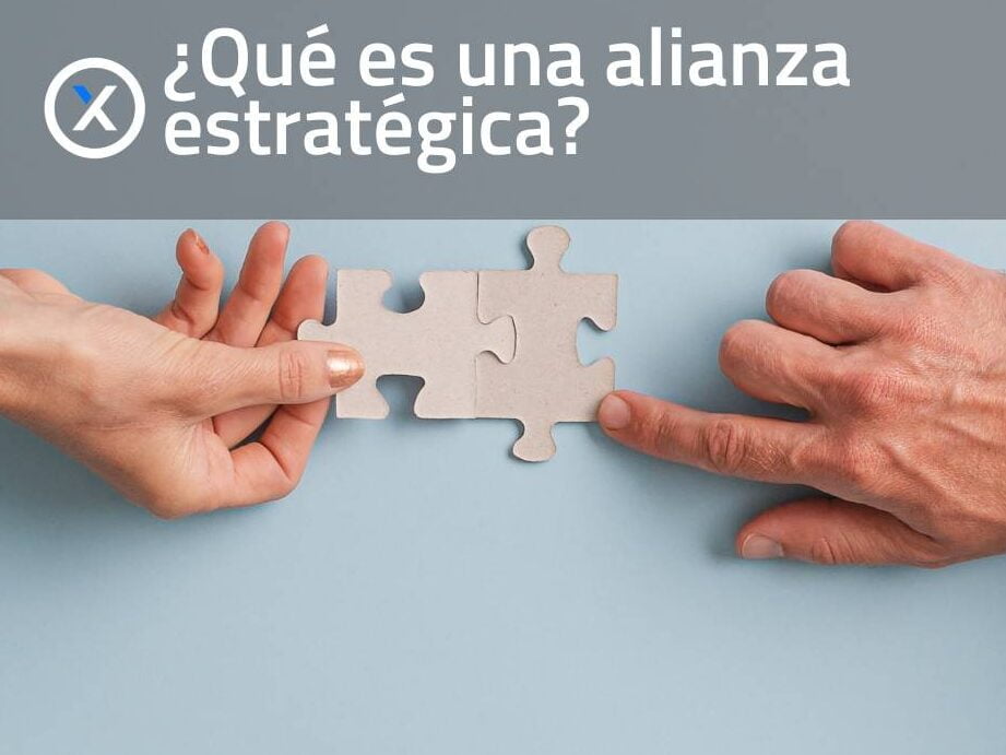 Maximiza tu éxito empresarial con una eficiente gestión de alianzas estratégicas - Mercadillo5