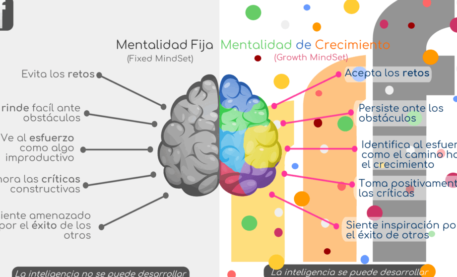 Mentalidad de crecimiento: el camino al éxito personal - Mercadillo5