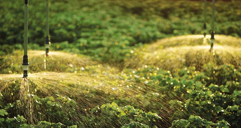 Optimiza tus cultivos con sistemas automatizados de agricultura - Mercadillo5