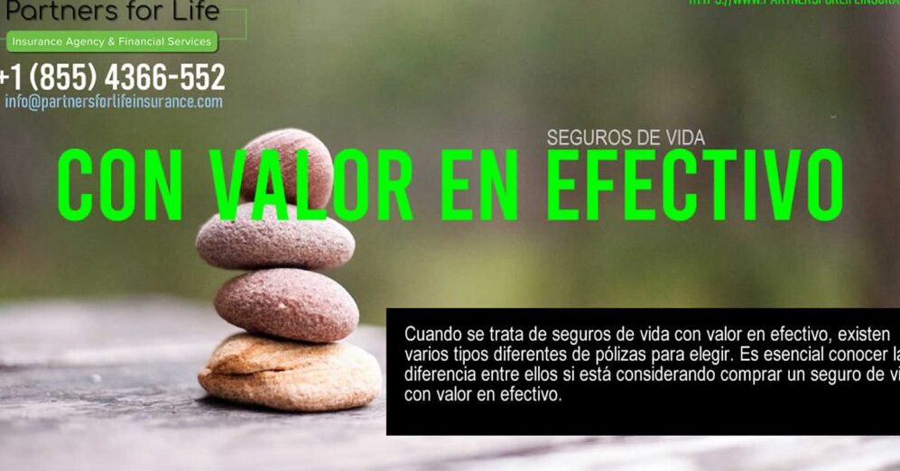 Todo sobre el Valor en Efectivo de una Póliza de Seguro de Vida - Mercadillo5