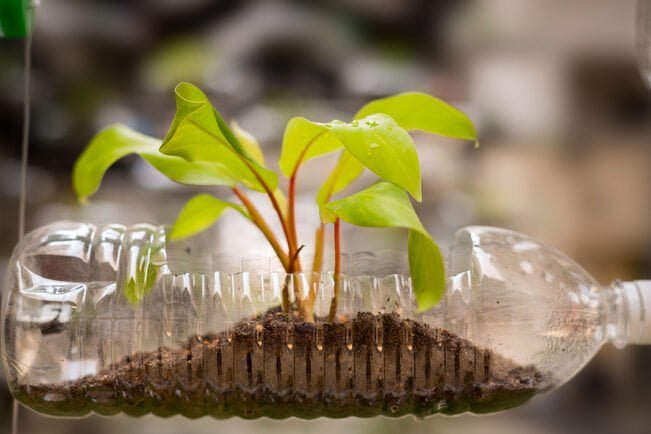 Trabajos de reciclaje: una oportunidad para cuidar el planeta - Mercadillo5